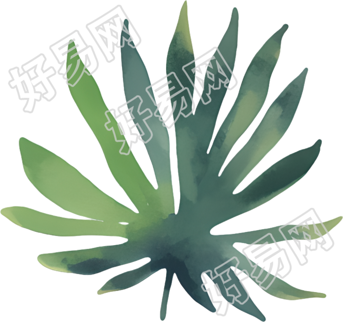 水彩叶子PNG素材