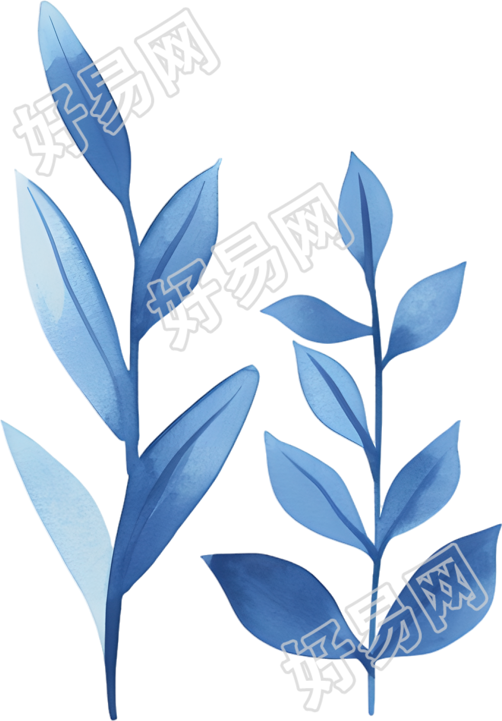 水彩叶子商用插图