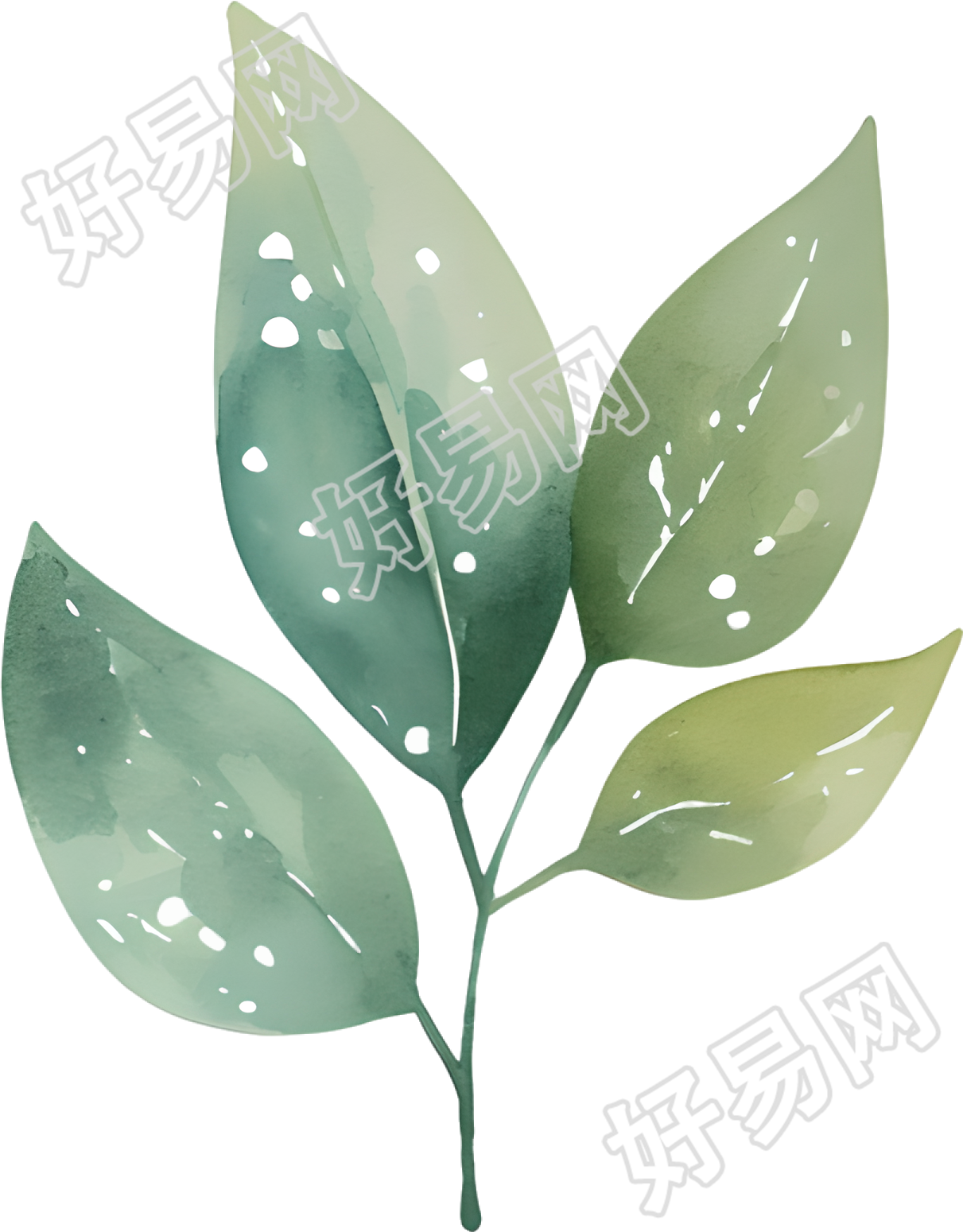 水彩叶子可商用插画