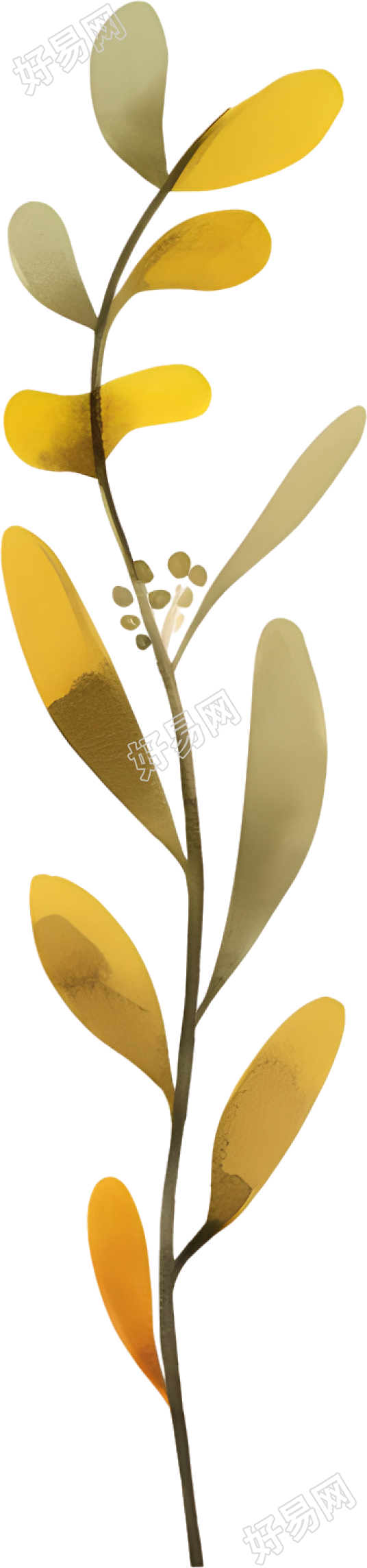 水彩叶子图形插图