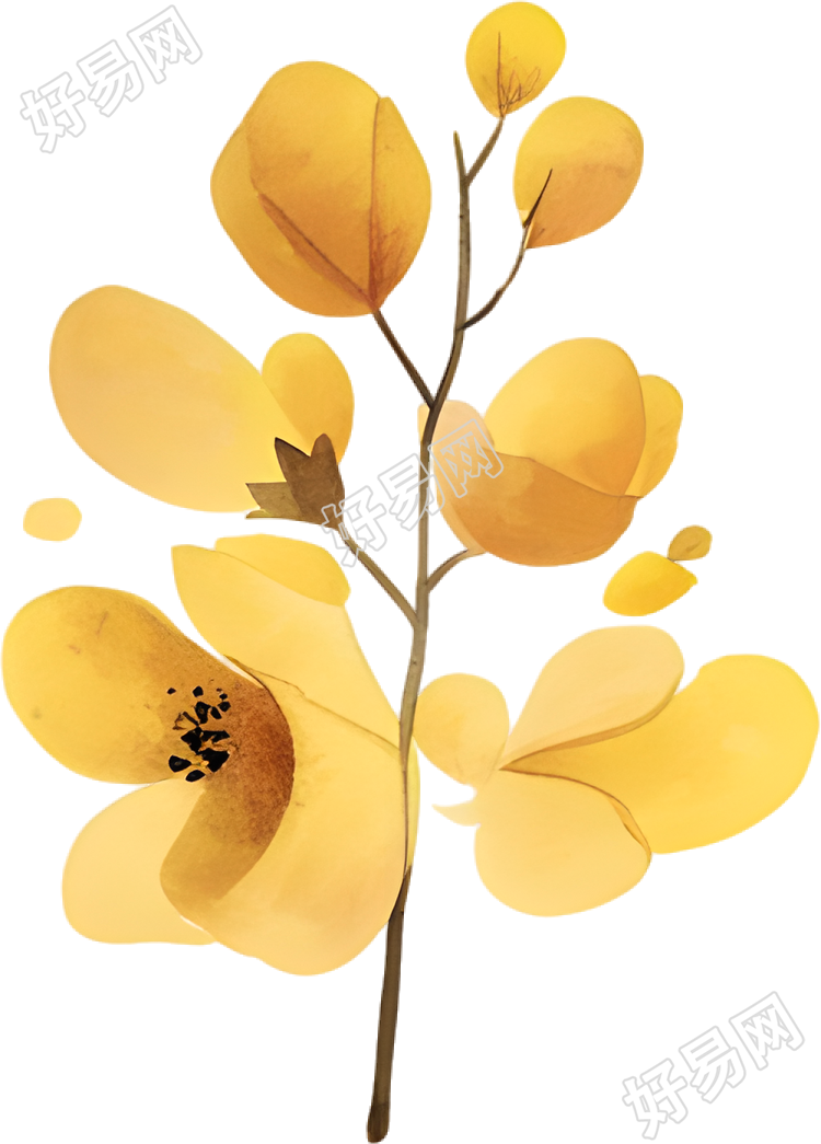 水彩小黄花插图
