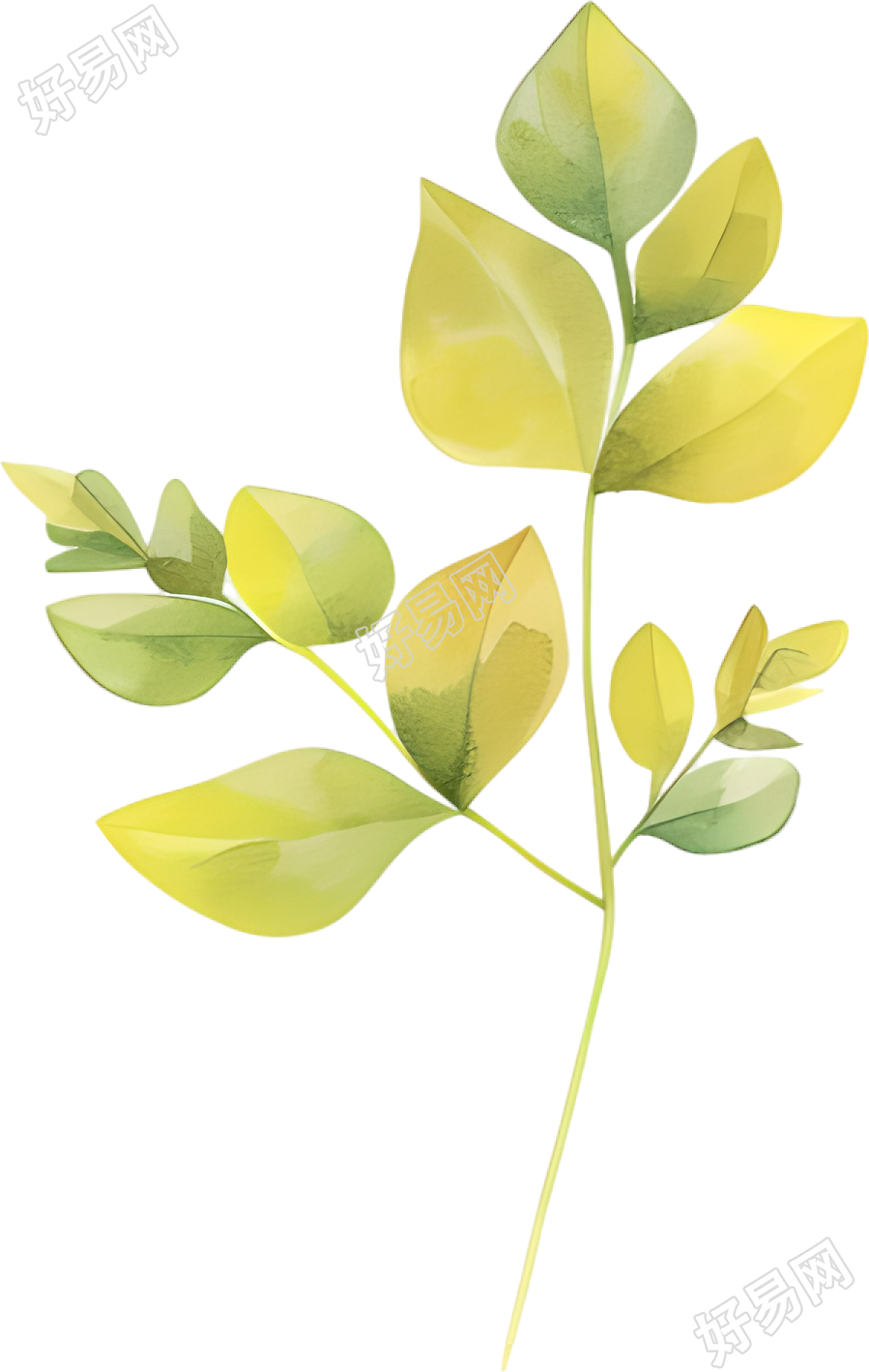 水彩植物装饰元素