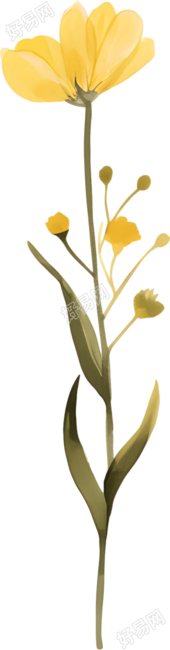 水彩小黄花装饰素材