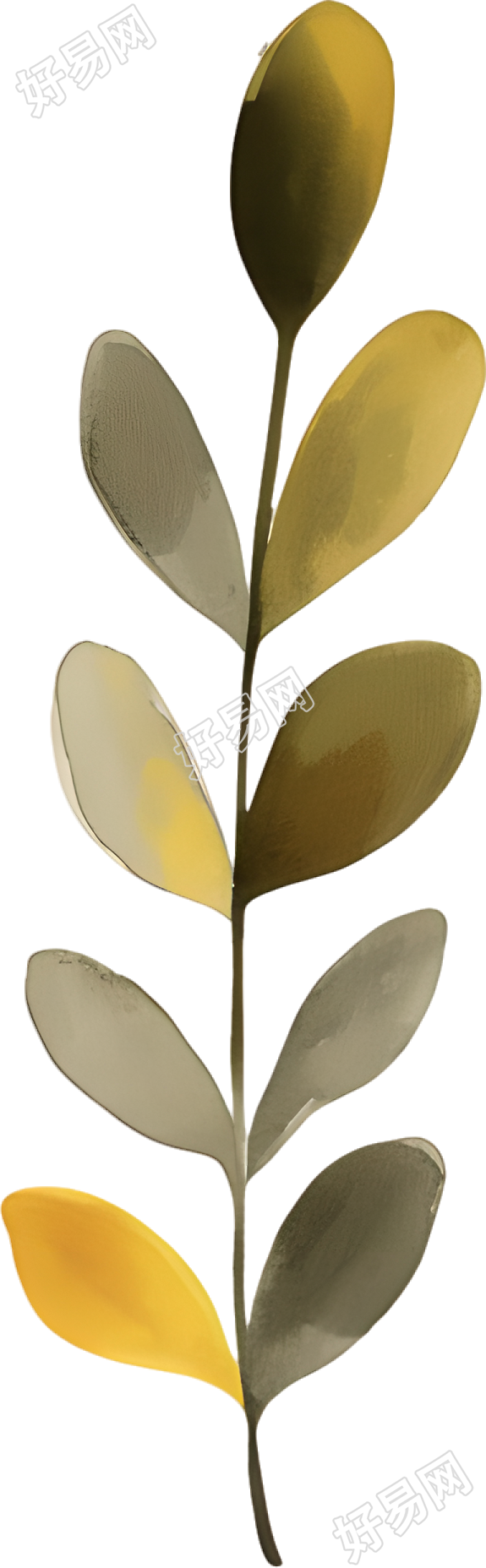 水彩植物装饰插图