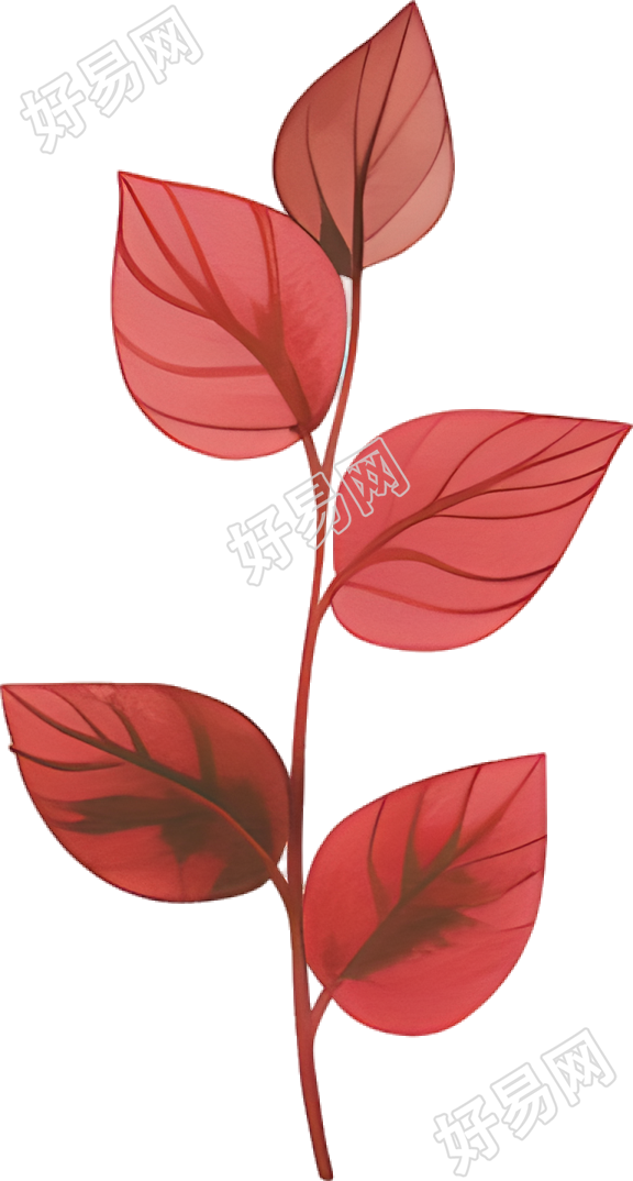 水彩植物可商用插画