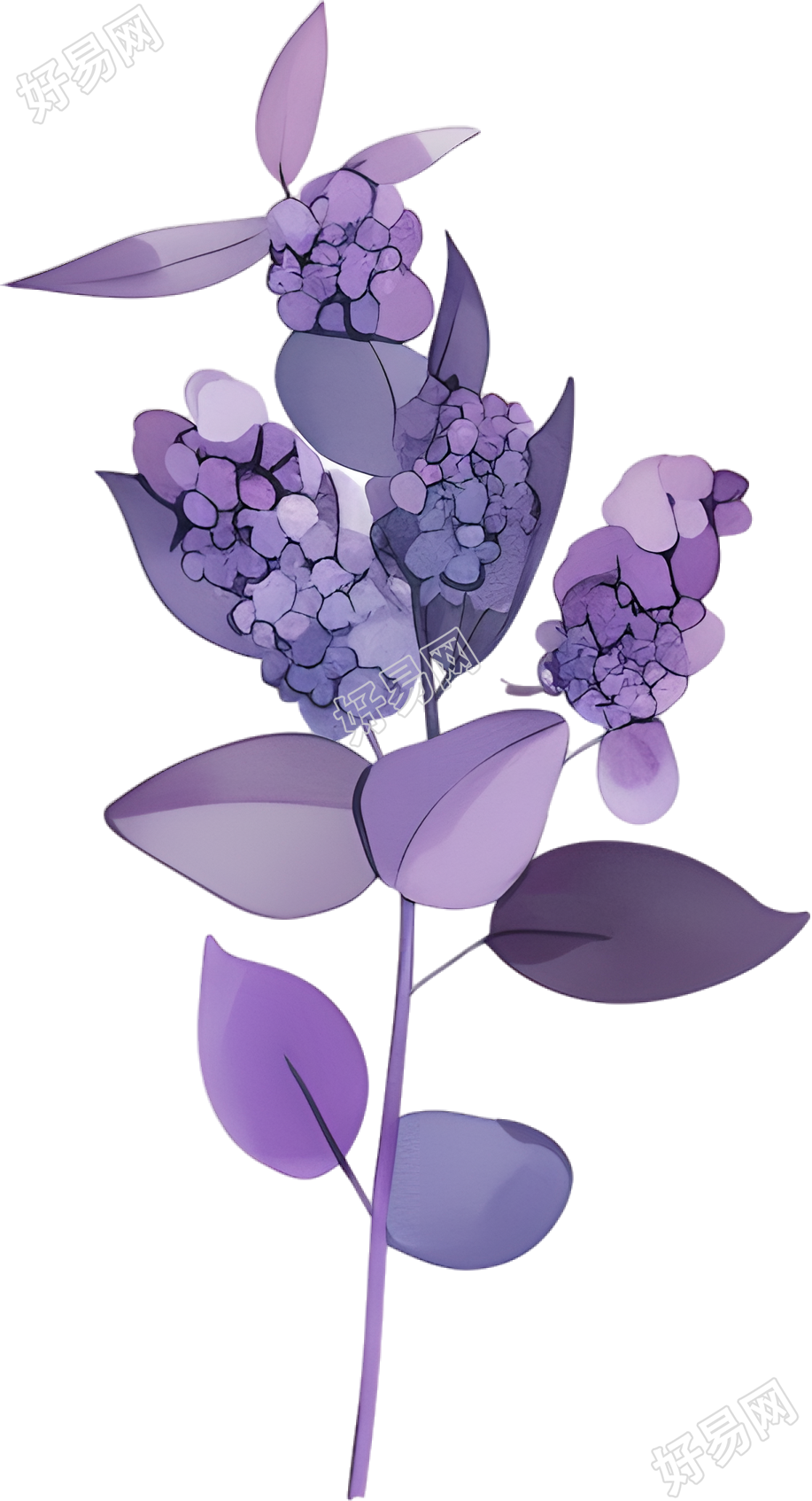水彩植物PNG元素