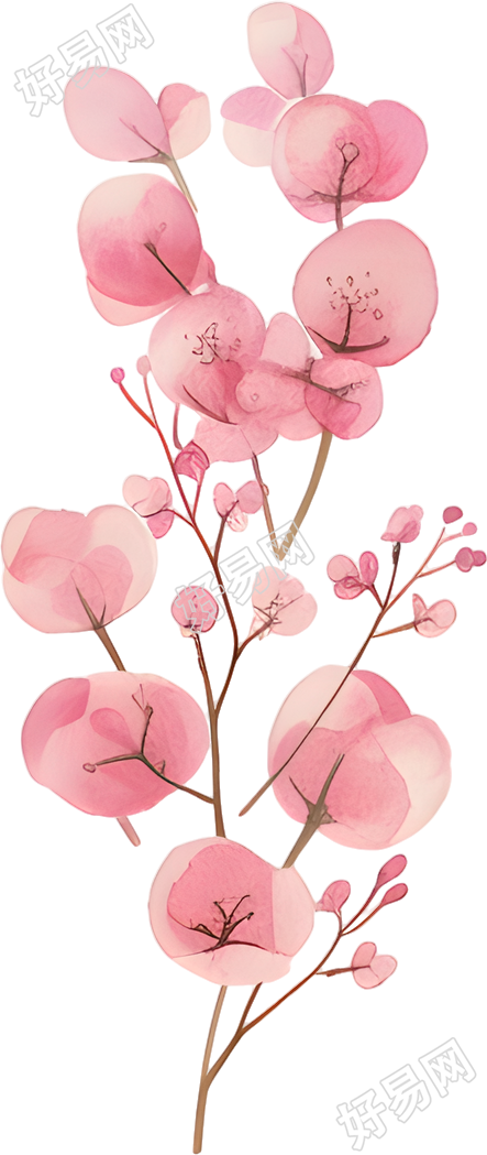 水彩植物唯美素材