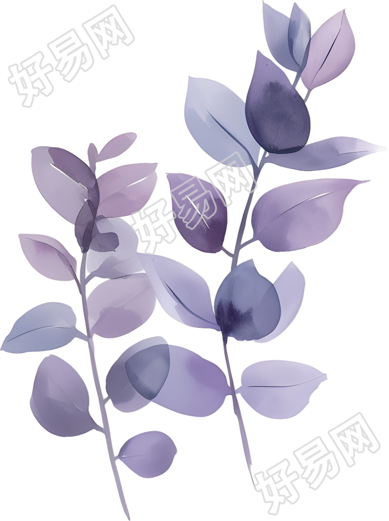水彩植物唯美插画