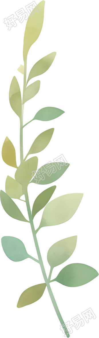水彩植物极简插图
