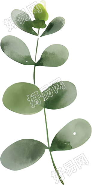 水彩植物图案元素