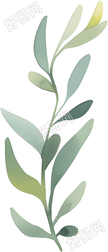 水彩植物图案插画