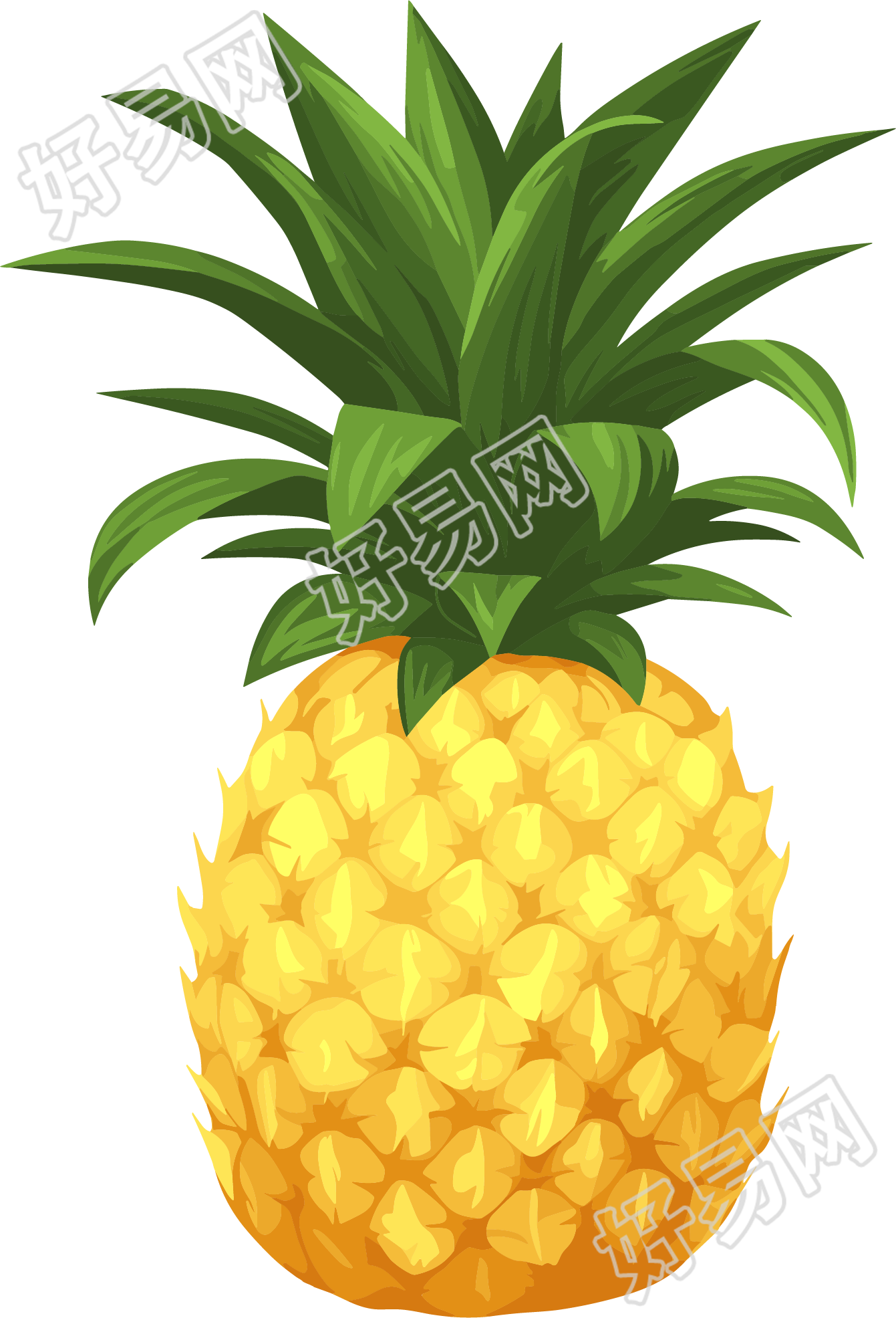 凤梨创意插图