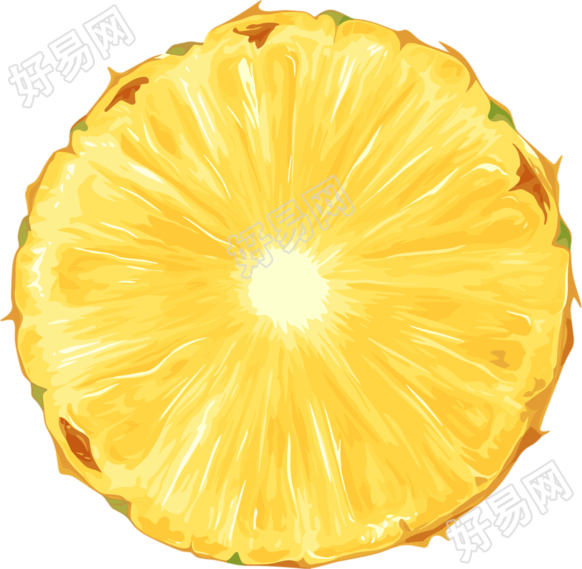 菠萝切片素材