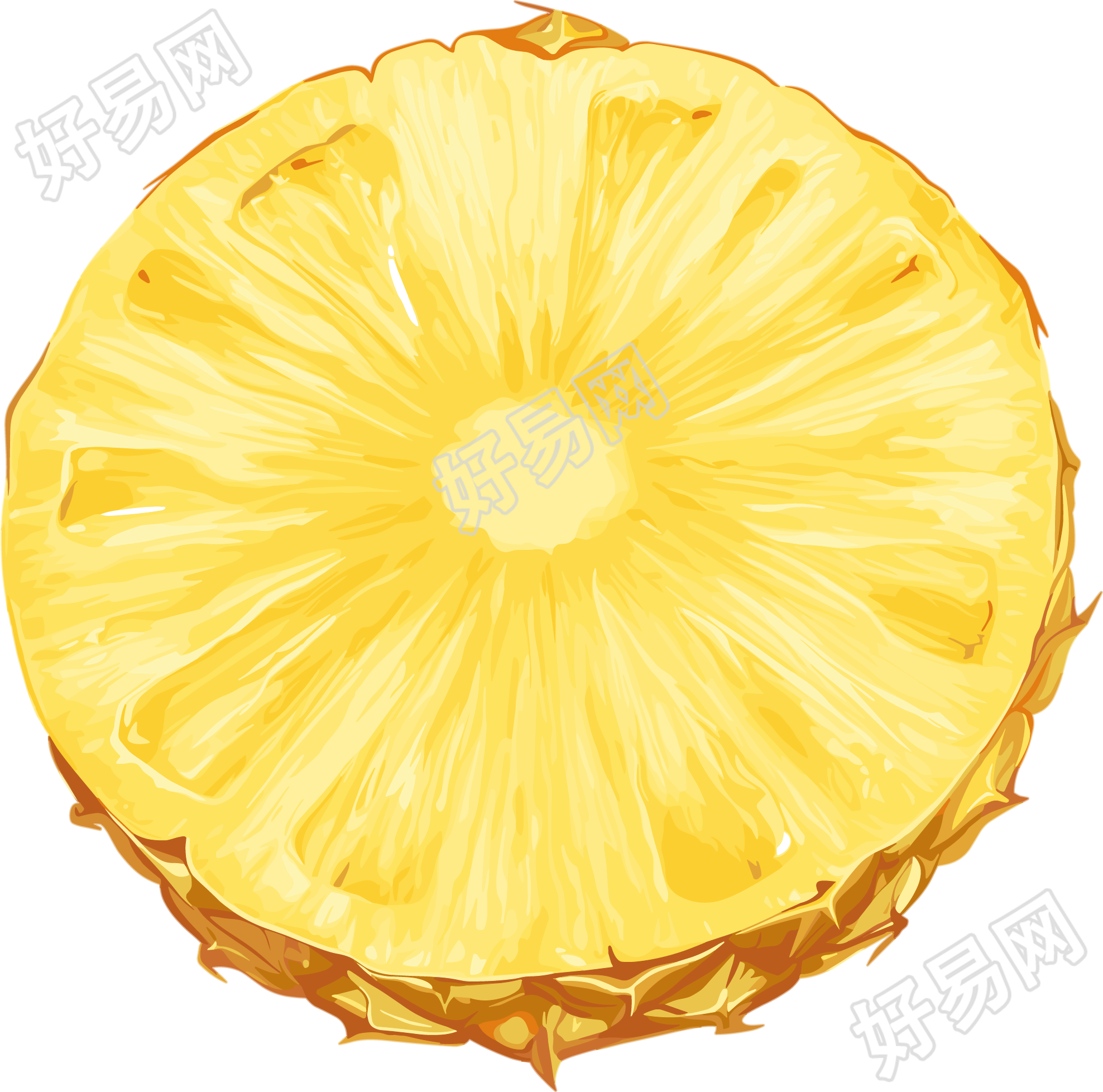 菠萝切片插画