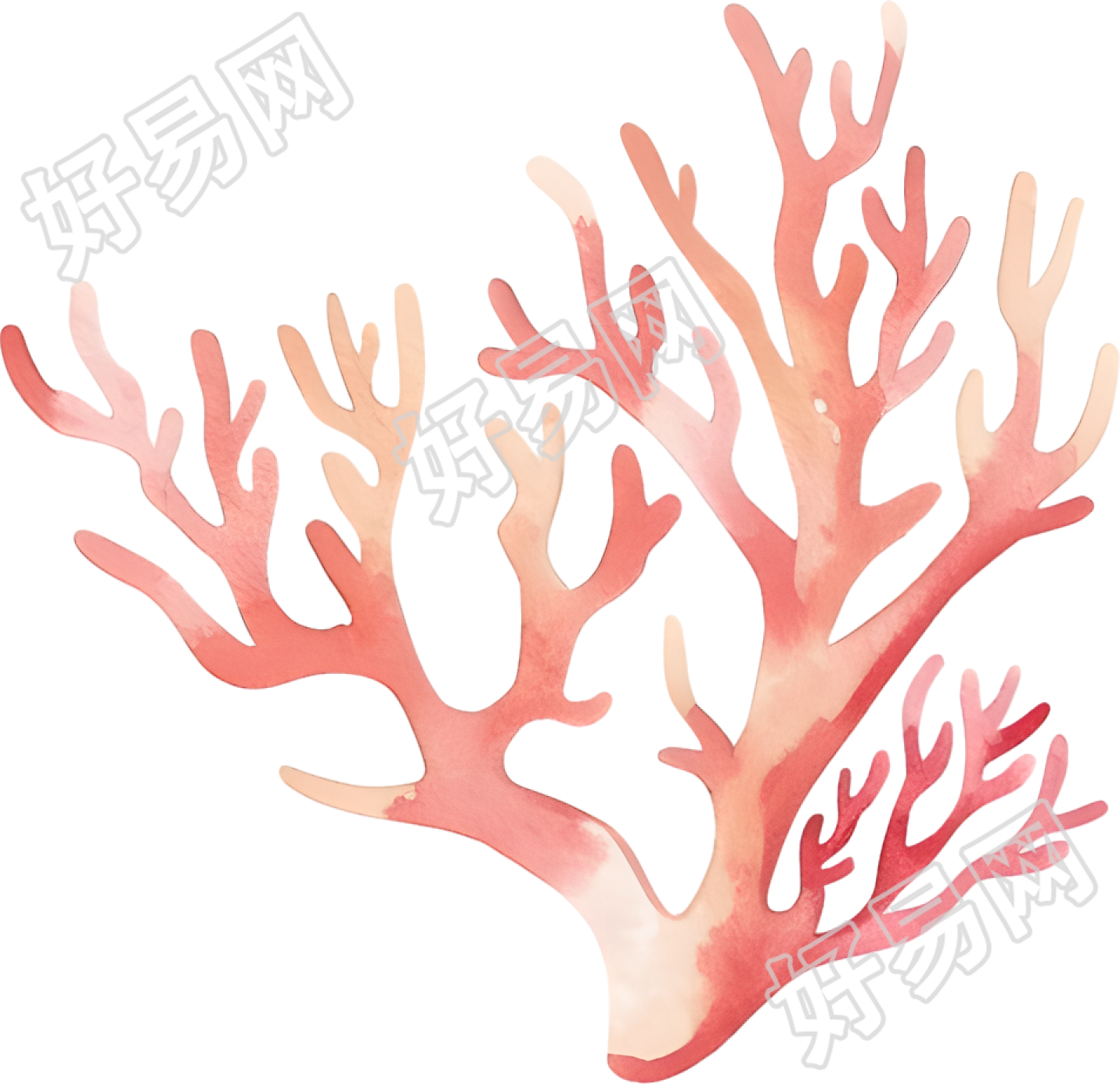 水彩珊瑚元素