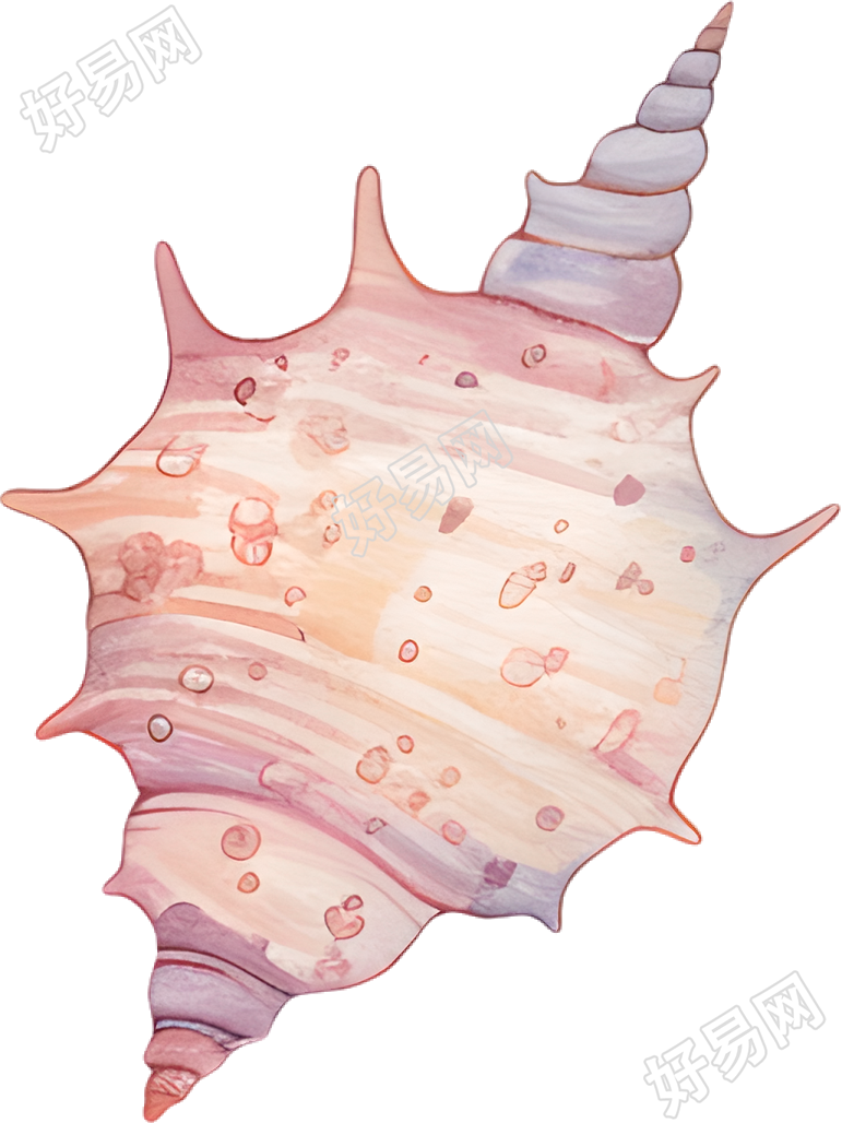 水彩海螺插图