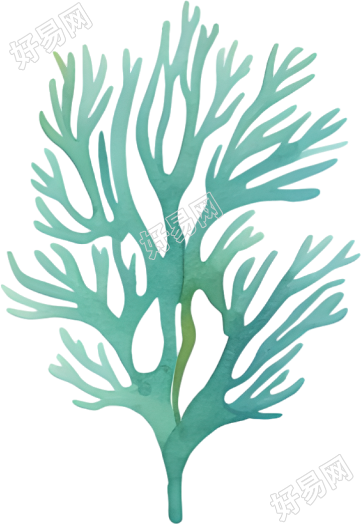 水彩珊瑚插画