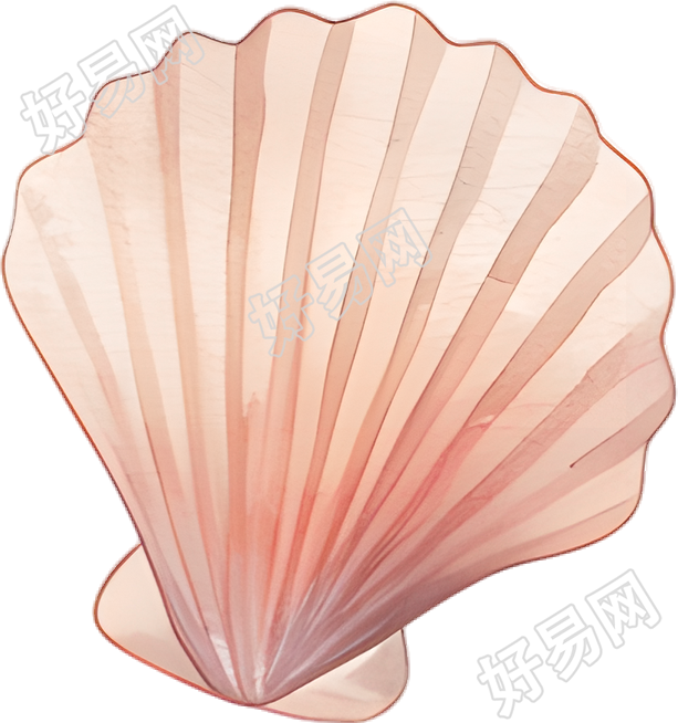水彩扇贝插图