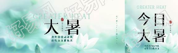24节气大暑白莲花公众号封面图