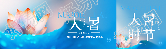 大暑时节唯美荷花公众号封面图