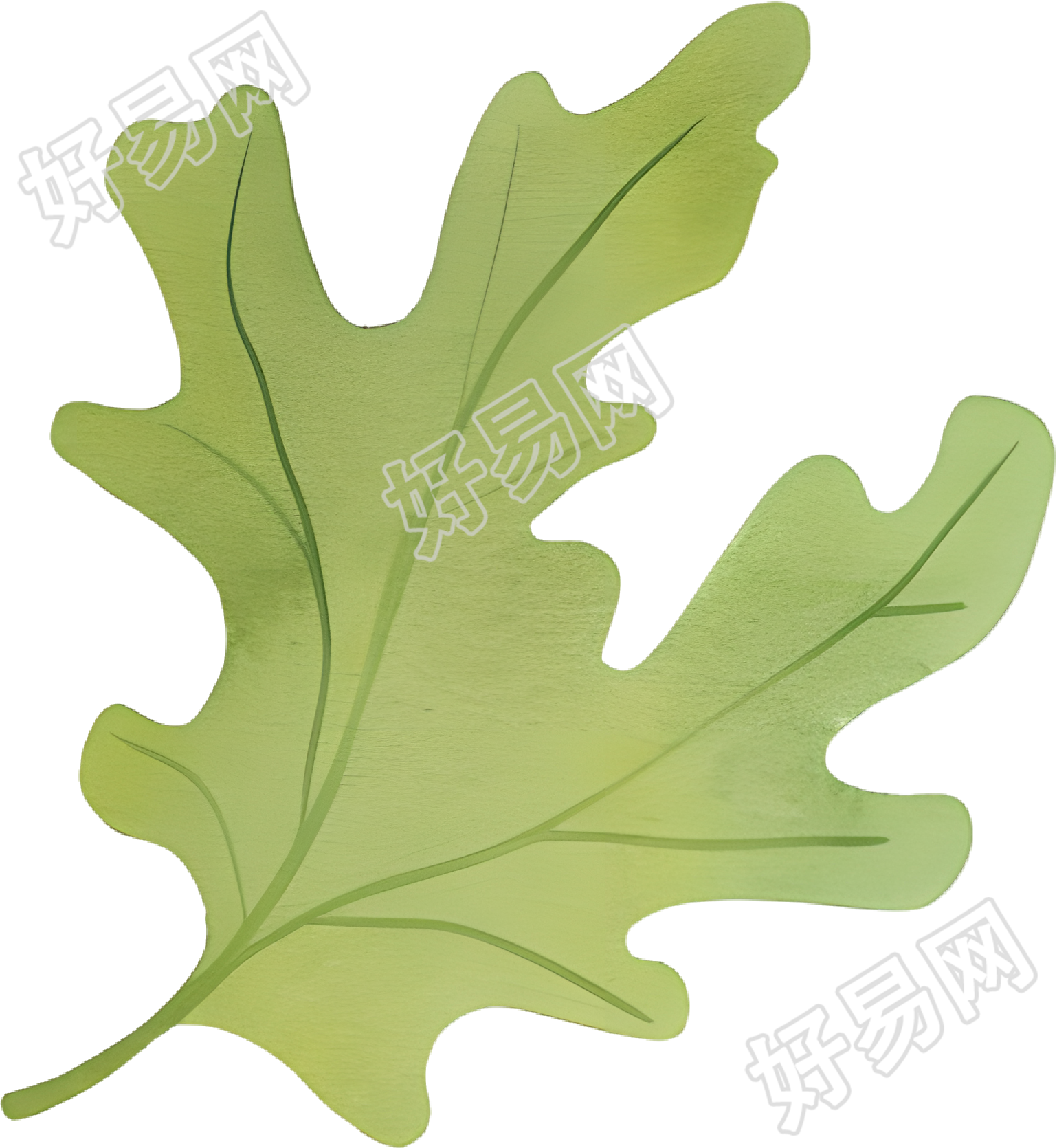 水彩植物设计插图