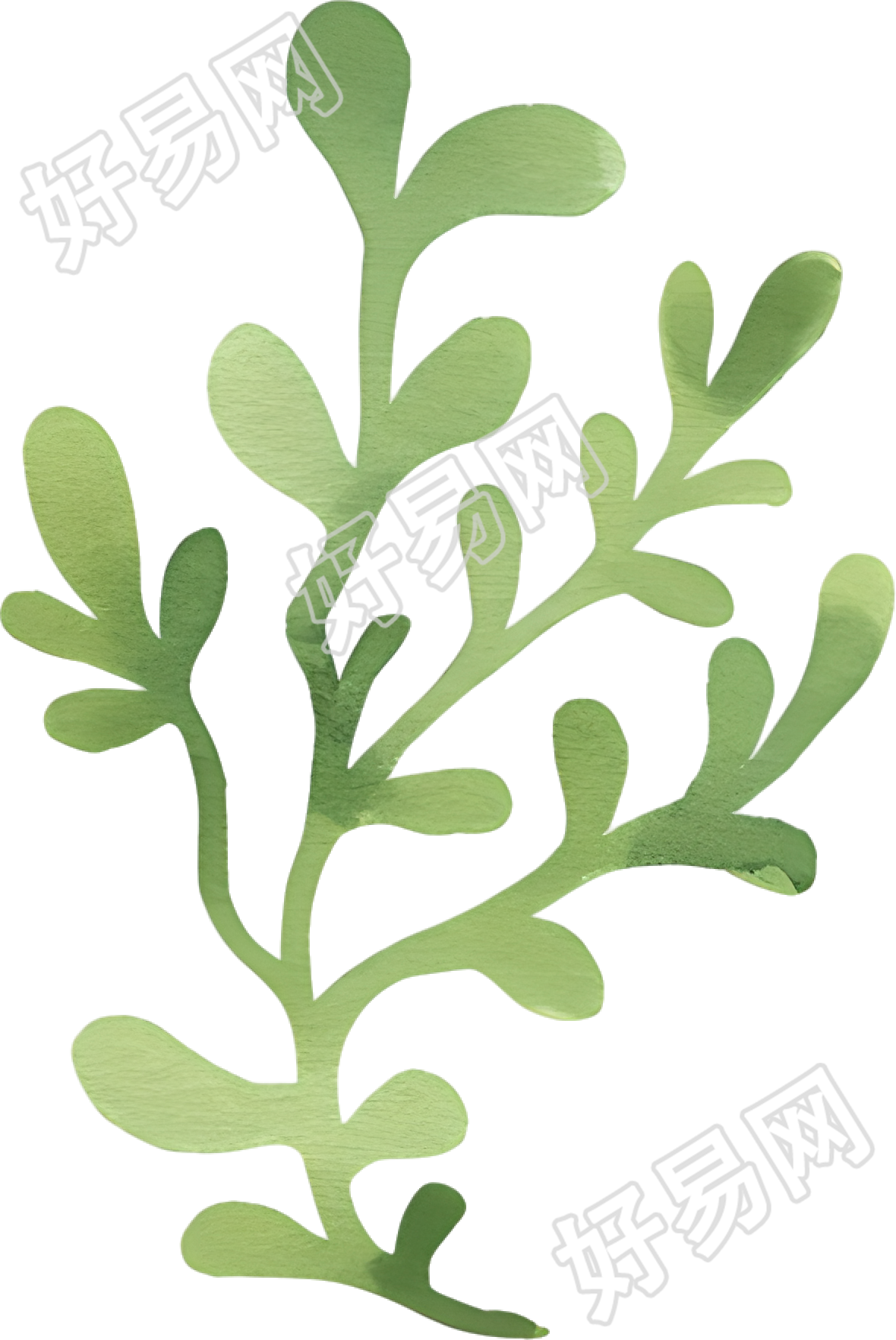 水彩植物叶子元素