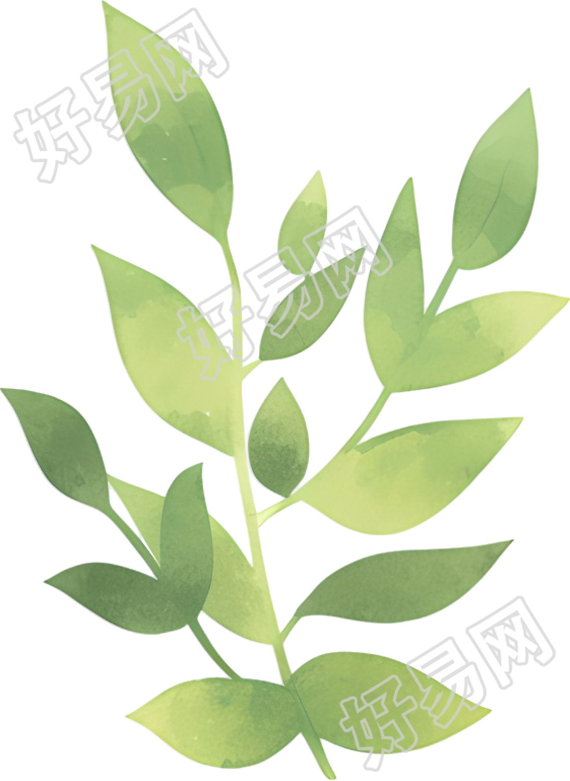 水彩植物商用装饰素材