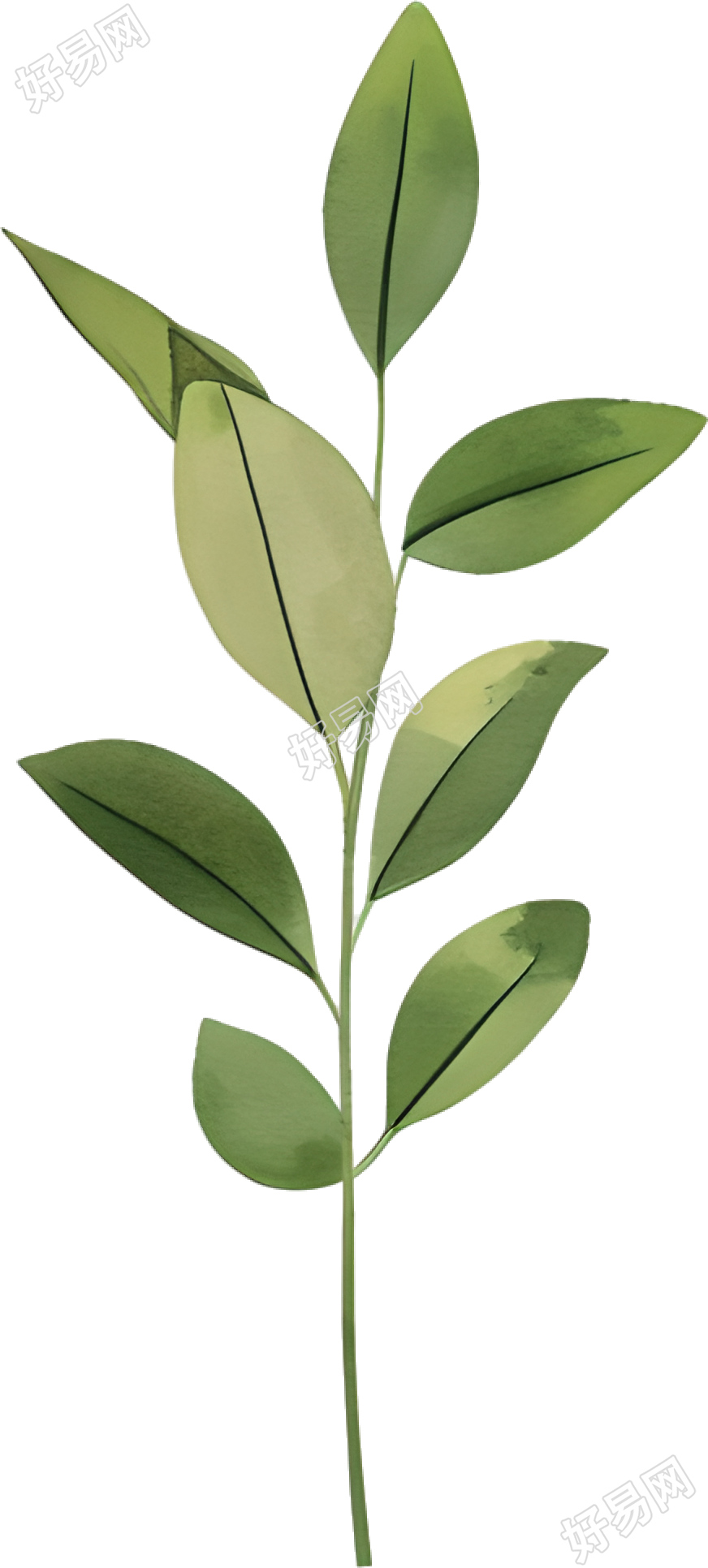 水彩植物简约装饰素材