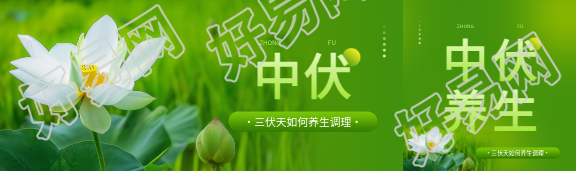 中伏养生知识讲座公众号封面图