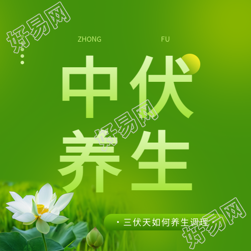中伏养生调理宣传微信公众号次图