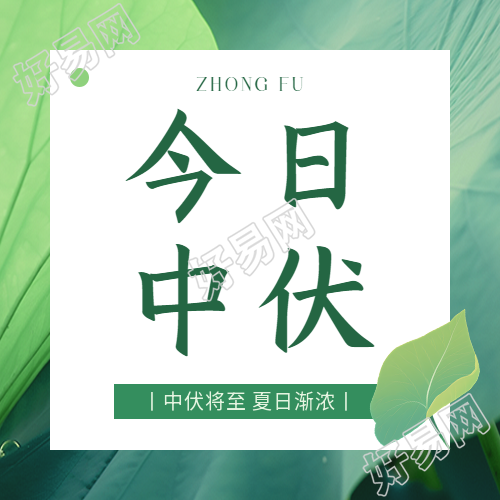 今日中伏卡通荷叶微信公众号次图
