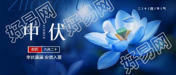 中伏傍晚荷花实景微信公众号首图