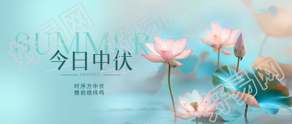 今日中伏小清新蓝色微信公众号首图
