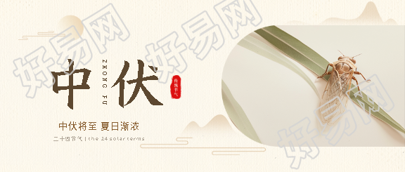 今日中伏夏蝉实景微信公众号首图