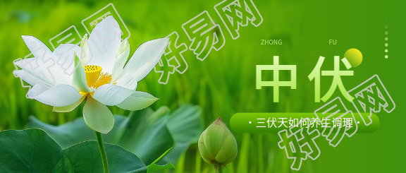 中伏养生主题活动微信公众号首图
