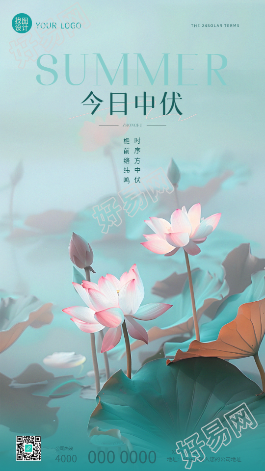 今日中伏池塘荷花实景手机海报