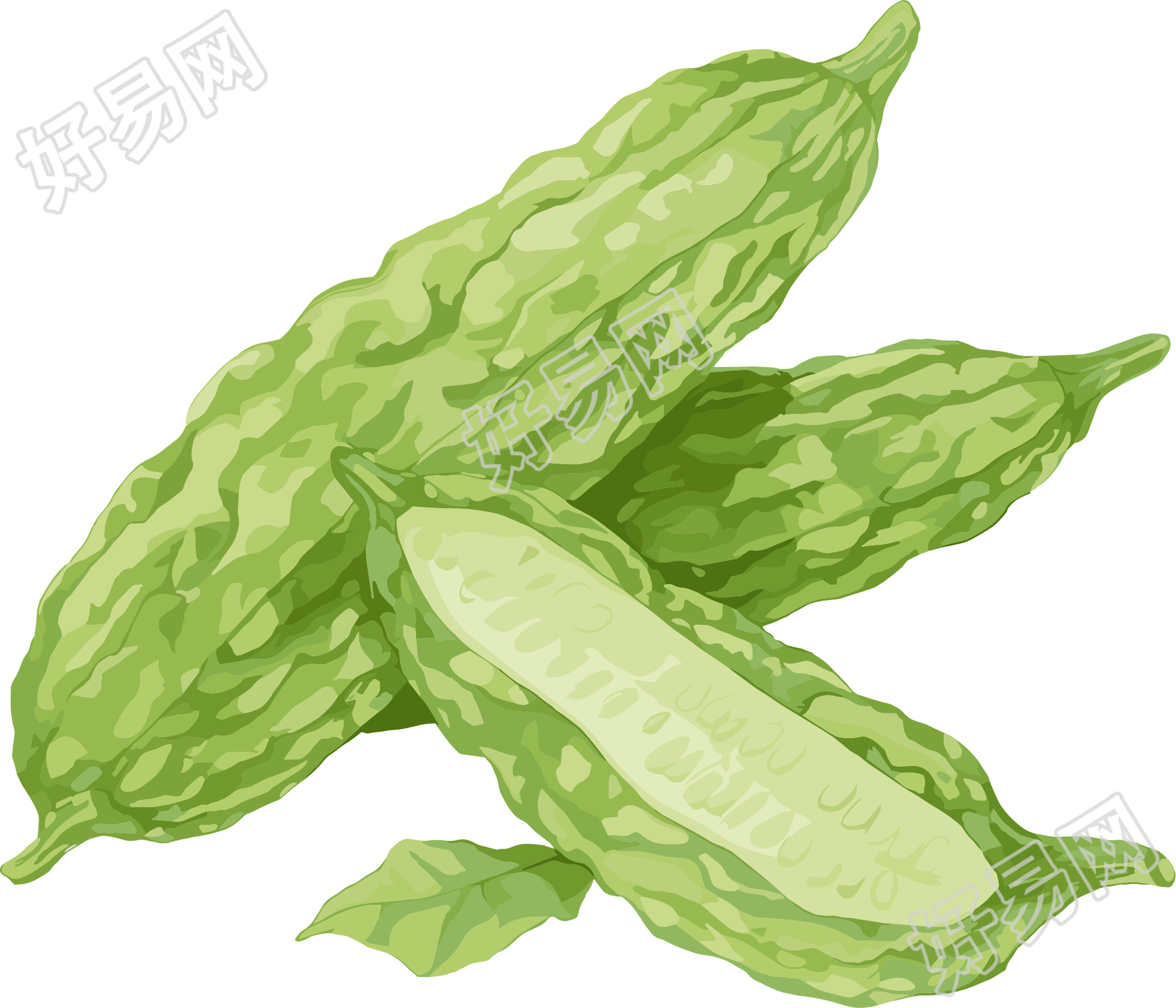 苦瓜创意设计元素