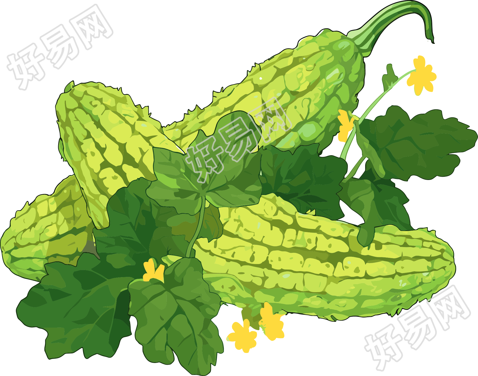 苦瓜创意插图
