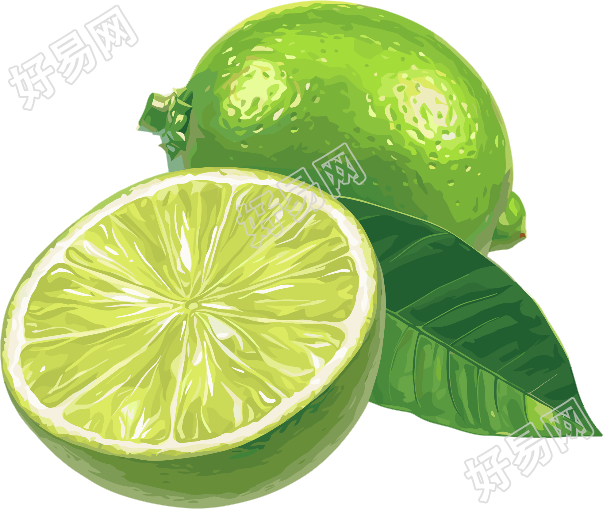 香水柠檬元素