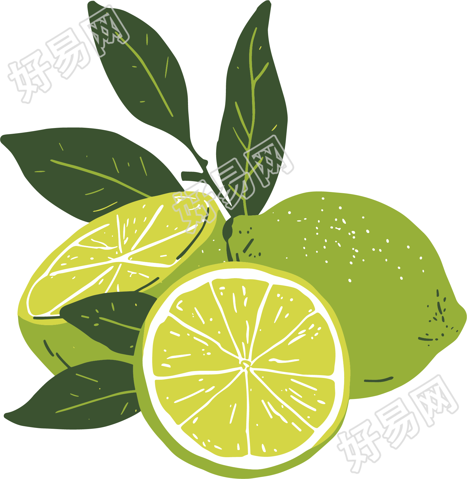 香水柠檬素材
