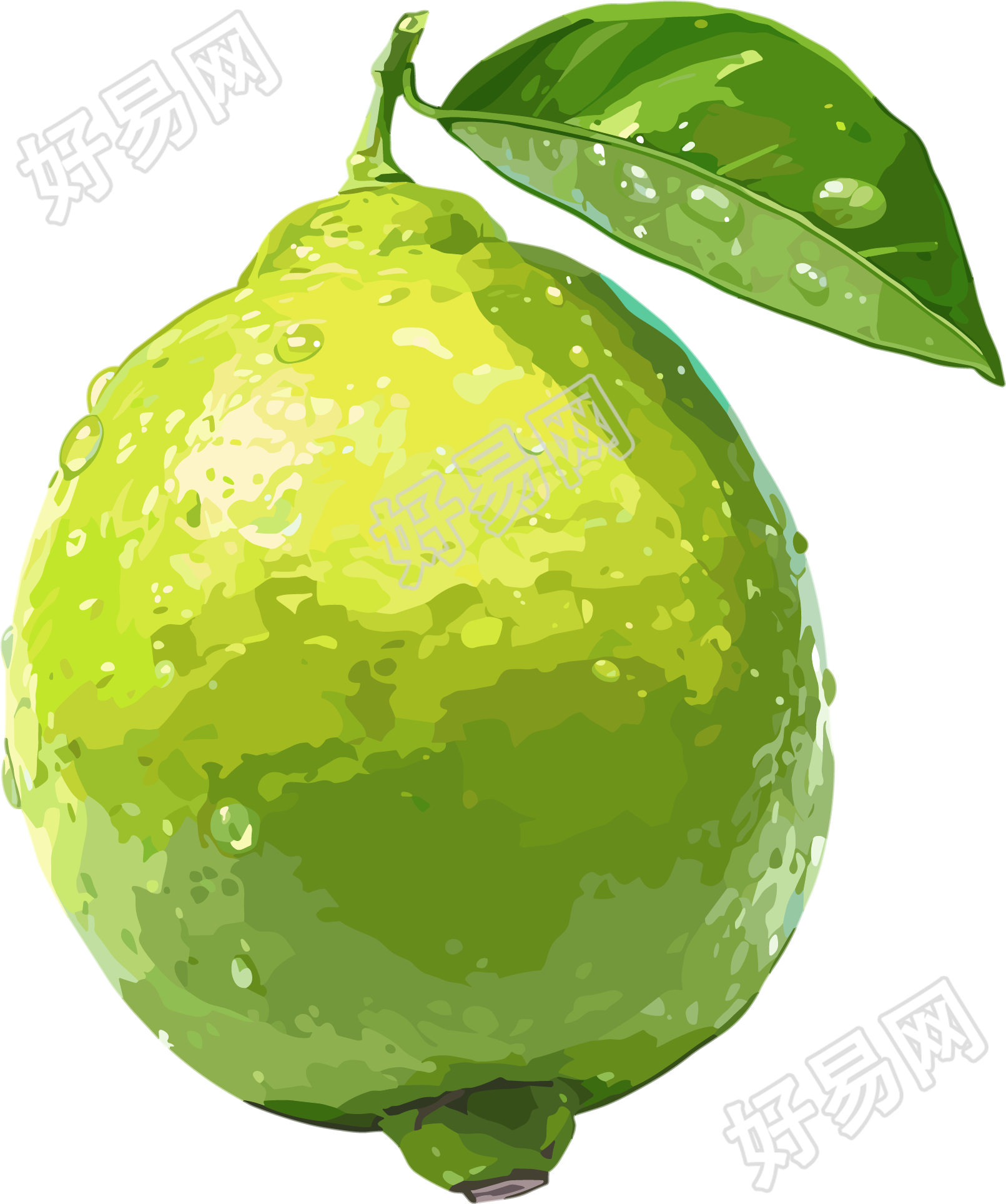 香水柠檬PNG插图