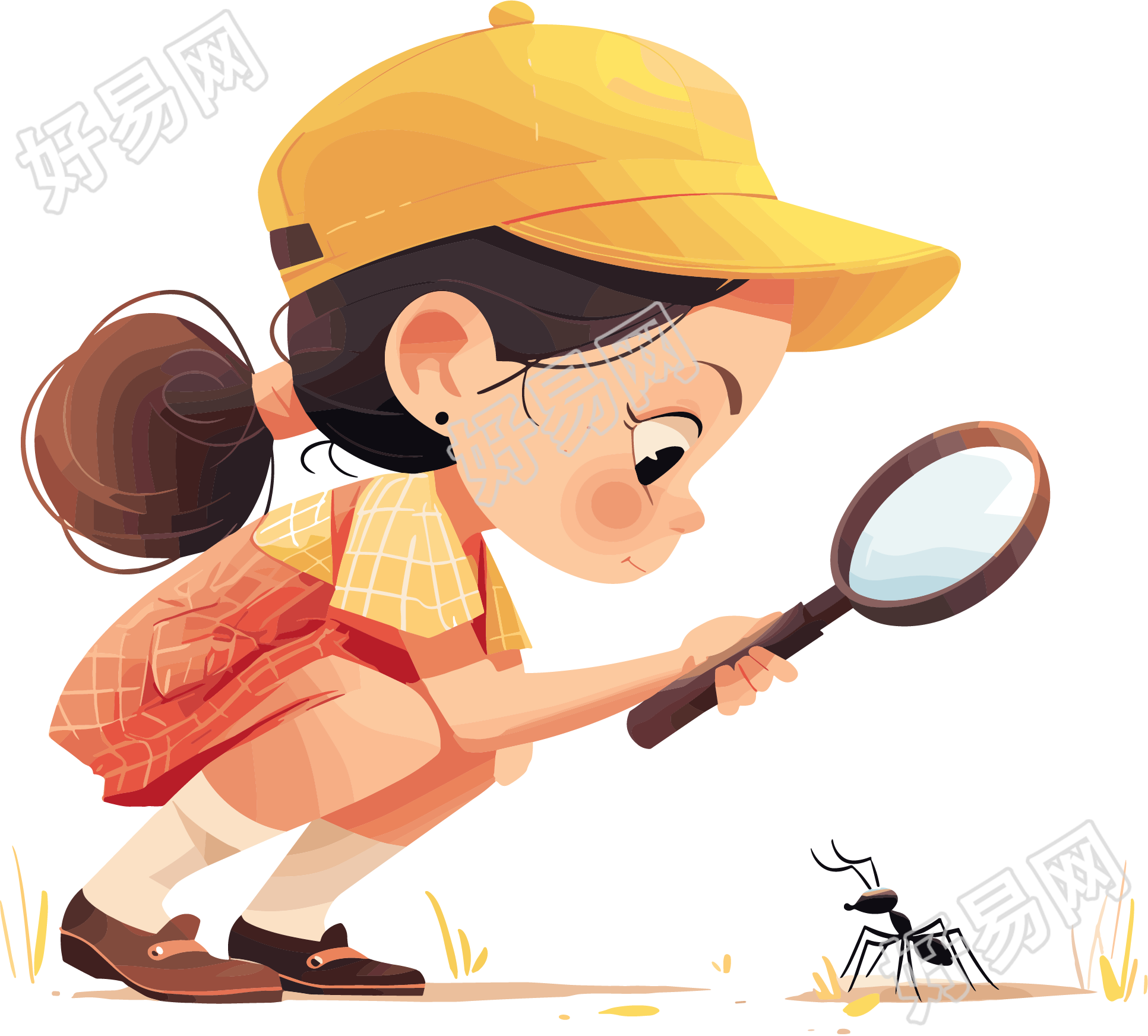 观察昆虫插图