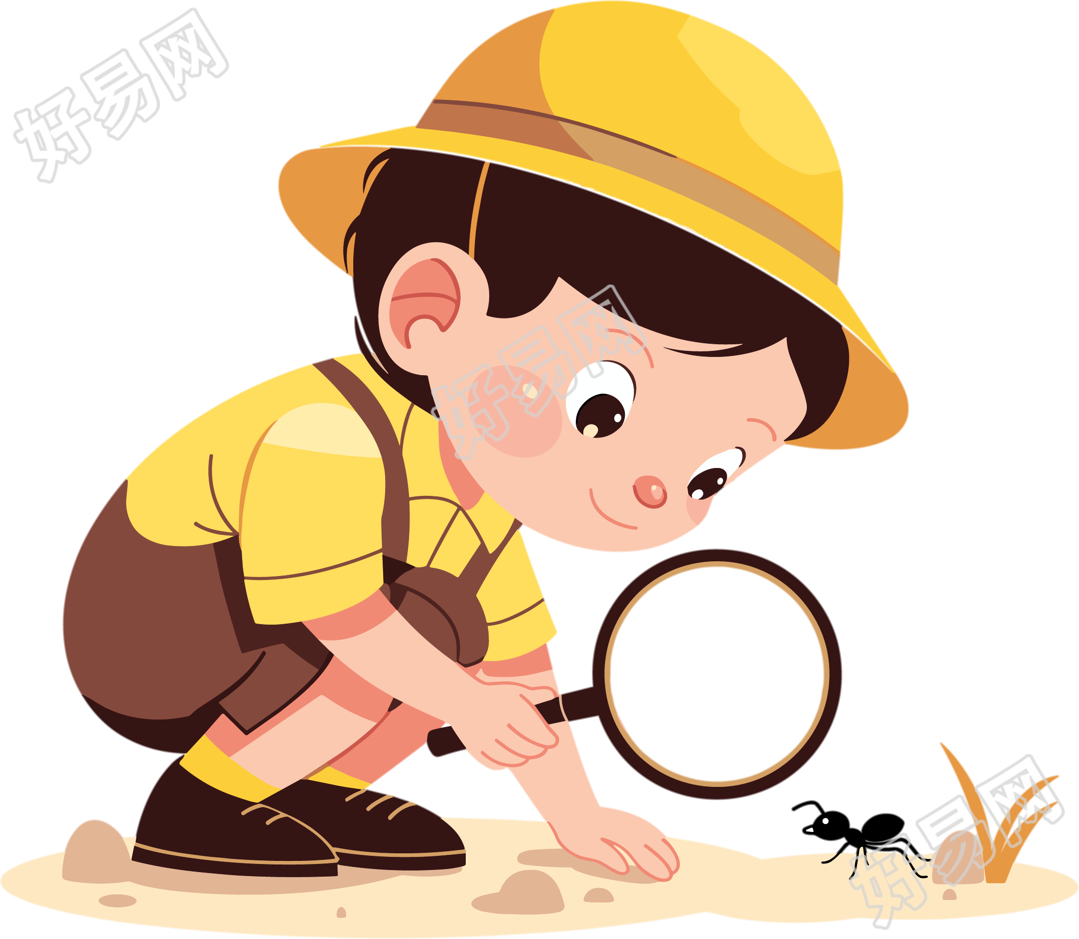 观察昆虫元素