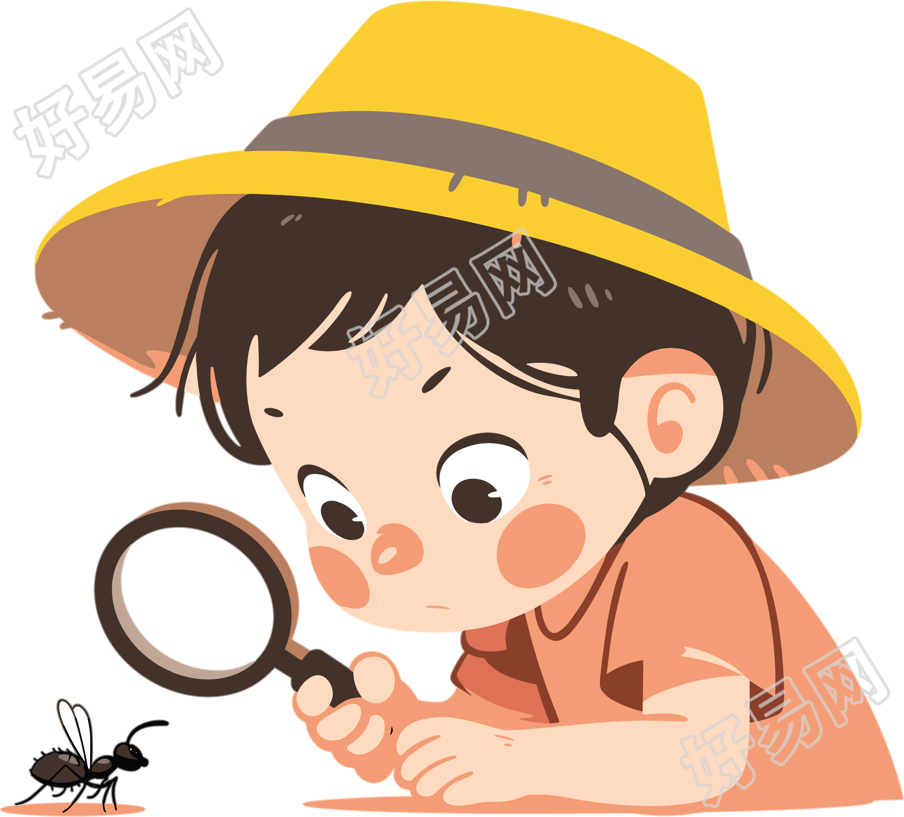 卡通孩子观察昆虫插图