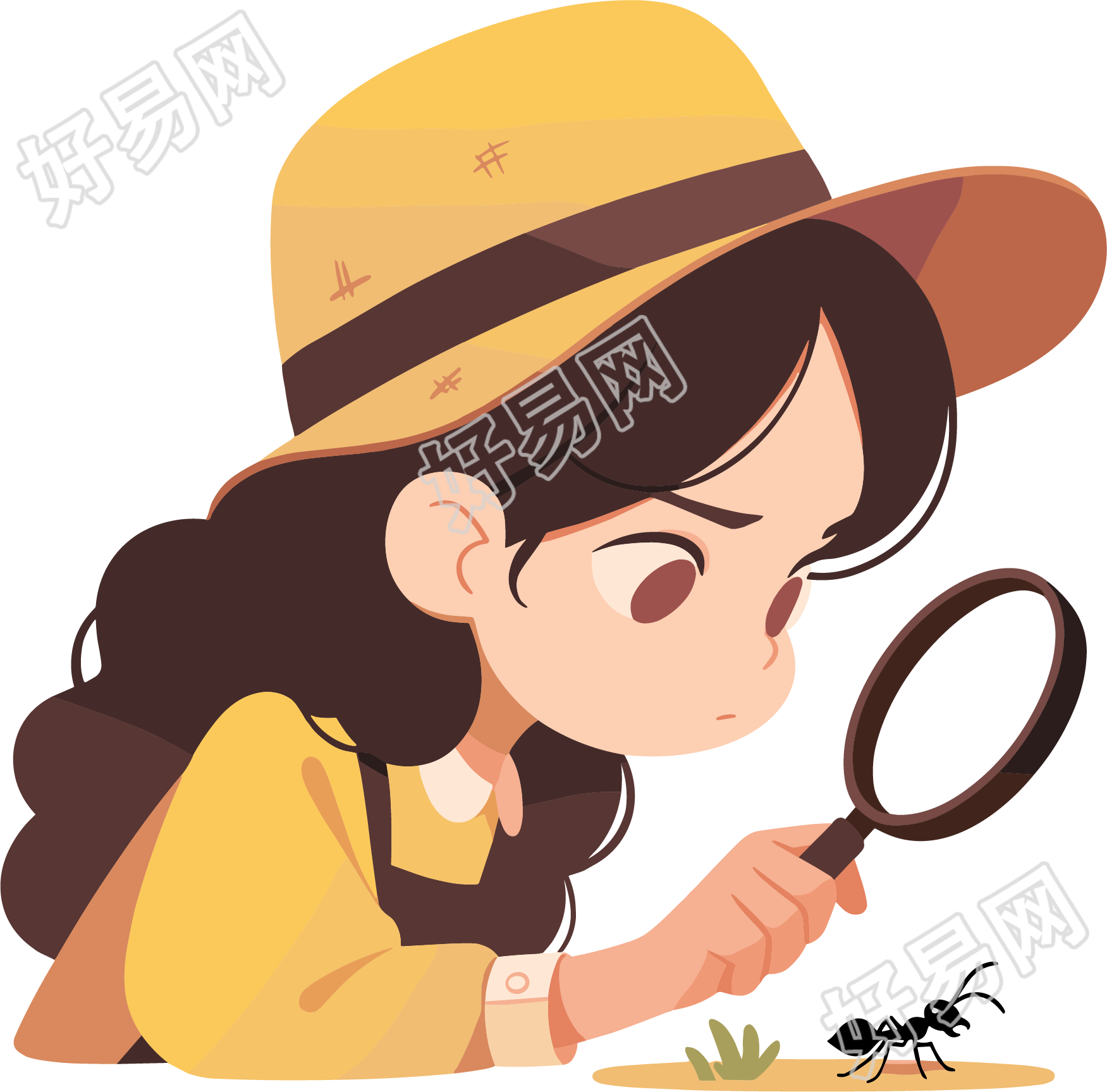观察昆虫透明背景插画