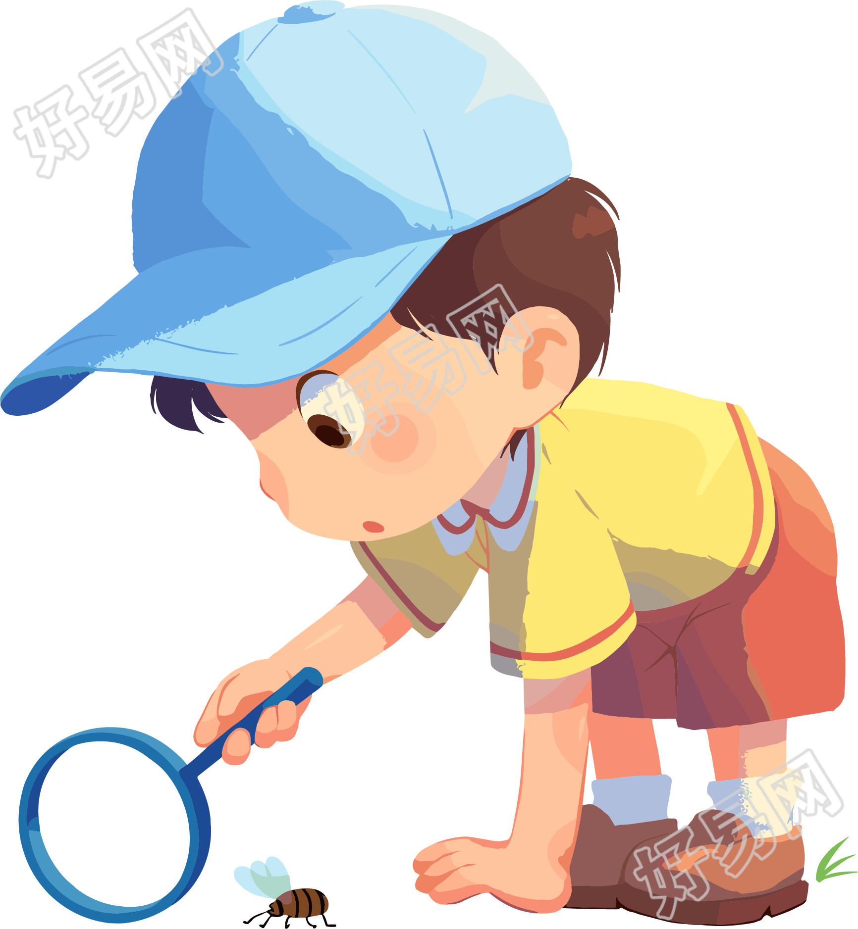 观察昆虫PNG矢量插画