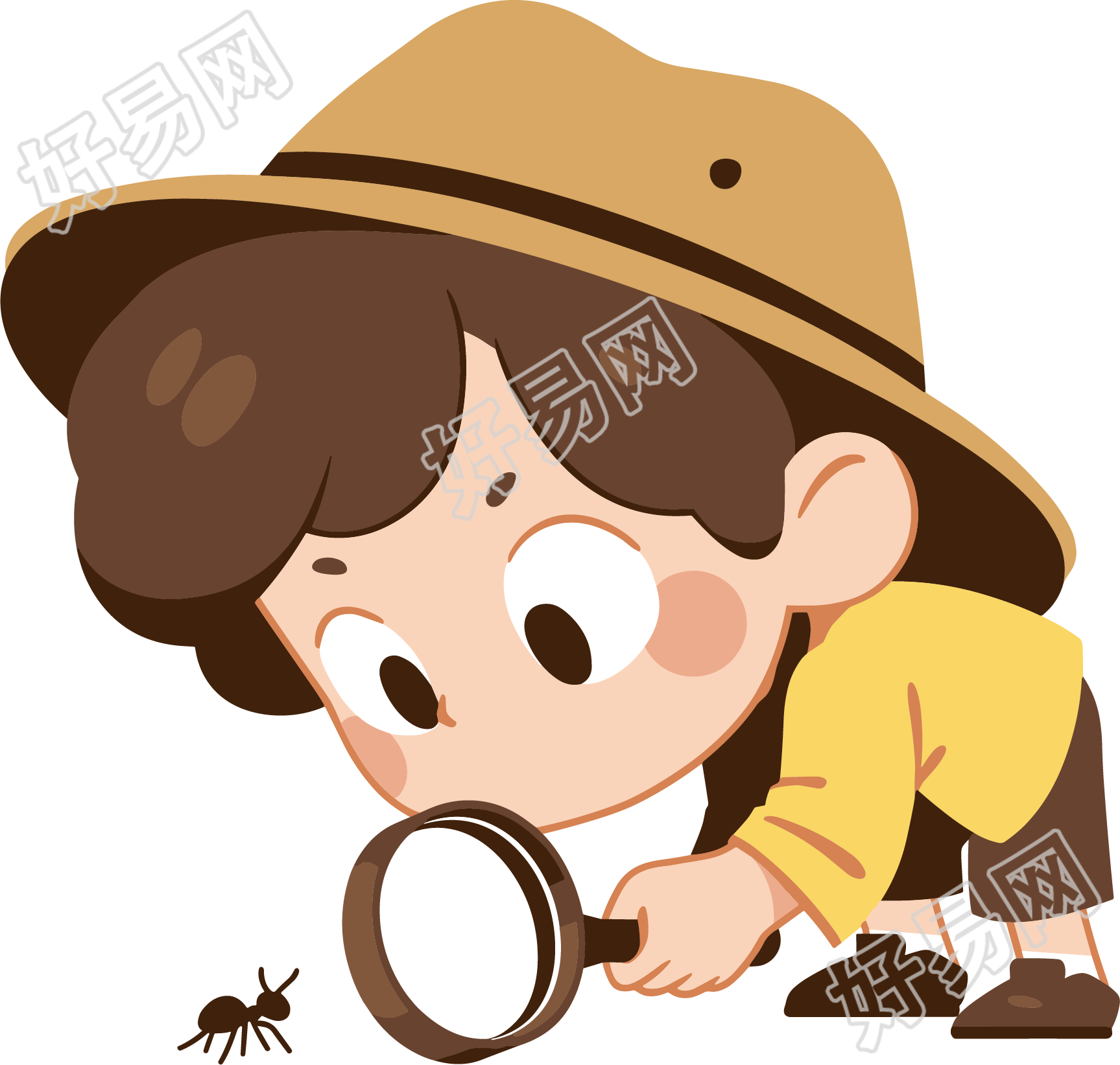 观察昆虫高清图形素材