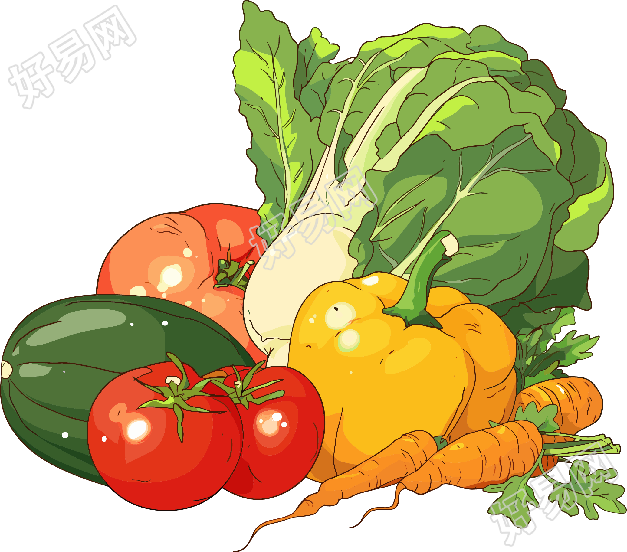 食品安全新鲜蔬菜插画