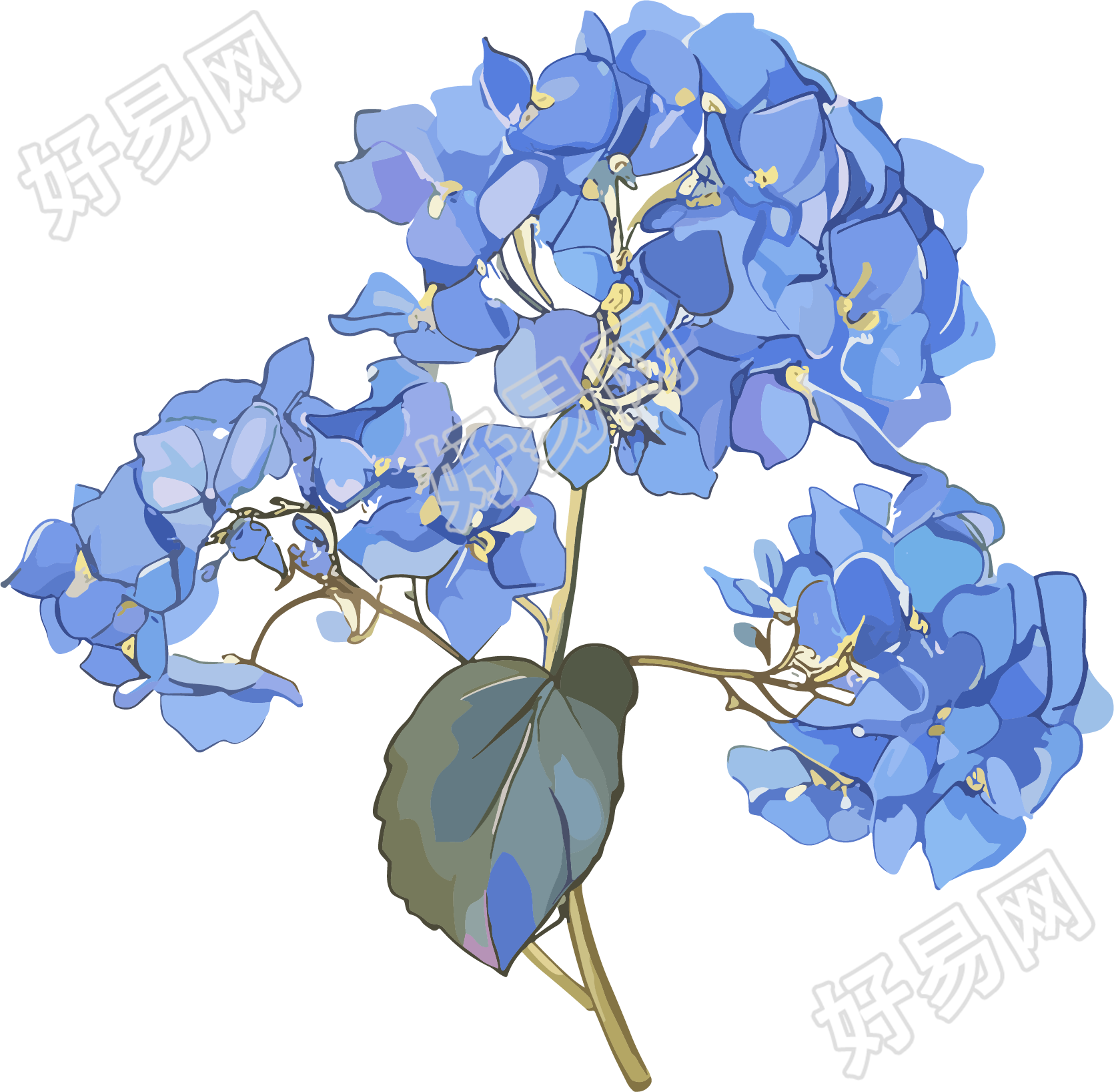 水彩绣球花元素