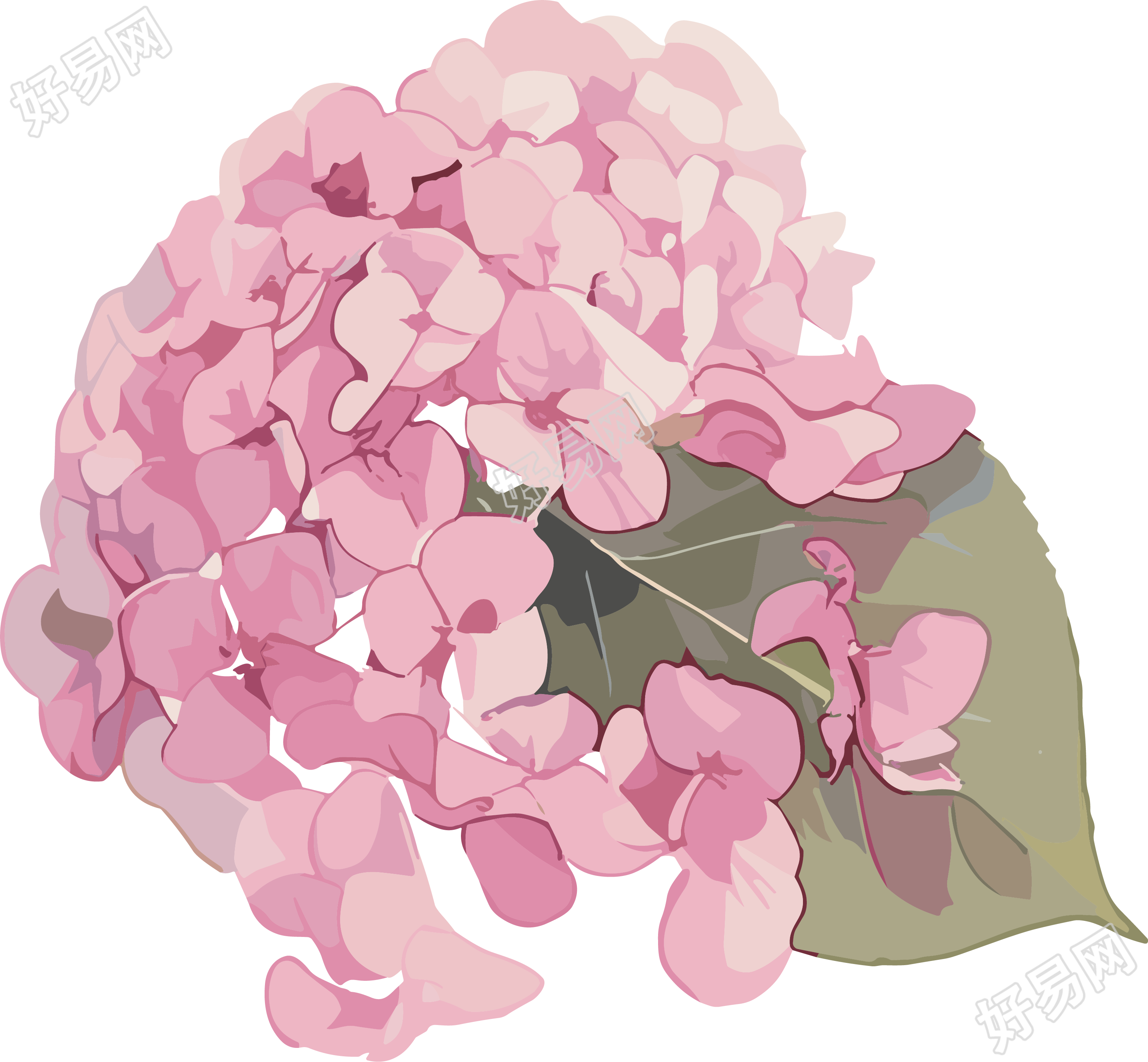 水彩绣球花装饰元素